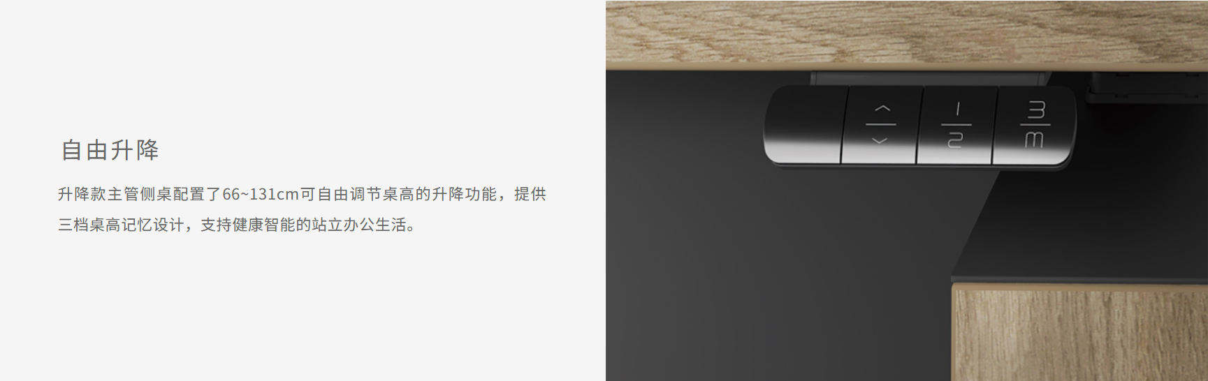 观自明(图5)